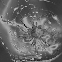 assume intimacy album cover