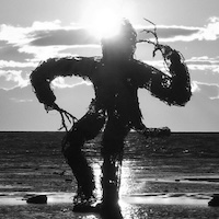 frog pocket album cover