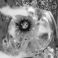 crttr clb 008 album cover