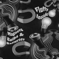 magnets bulbs and batteries album cover