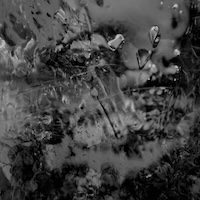 rm estali album cover