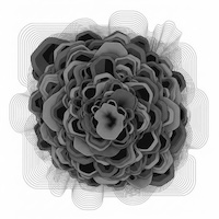 viridiflora album cover